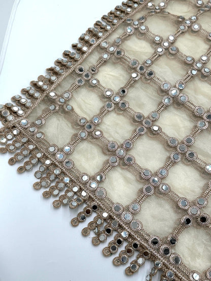 Real Mirror Work Jal Dupatta Hand Embroidered Net Dupatta