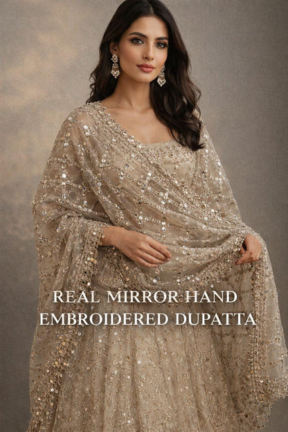 Real Mirror Work Jal Dupatta Hand Embroidered Net Dupatta
