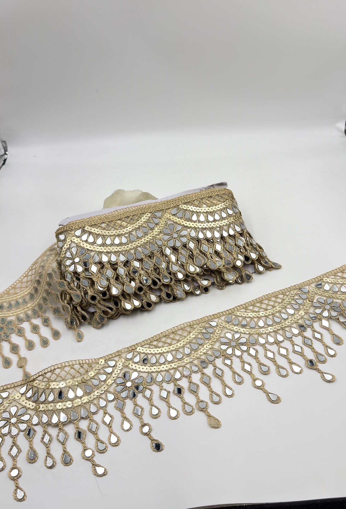 Hand Embroidered Mirror Trim Gold Zari Border