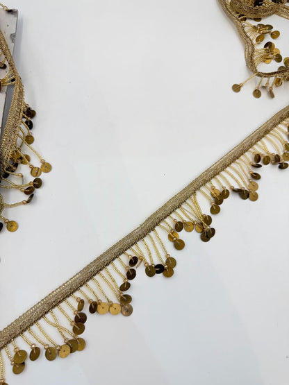 Gold Coin Fringe Trim: Metallic Sequin