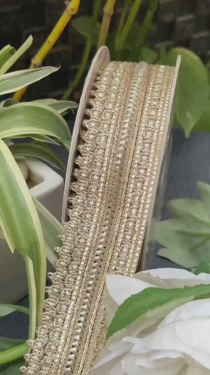 Luxurious Zari Trim Metallic